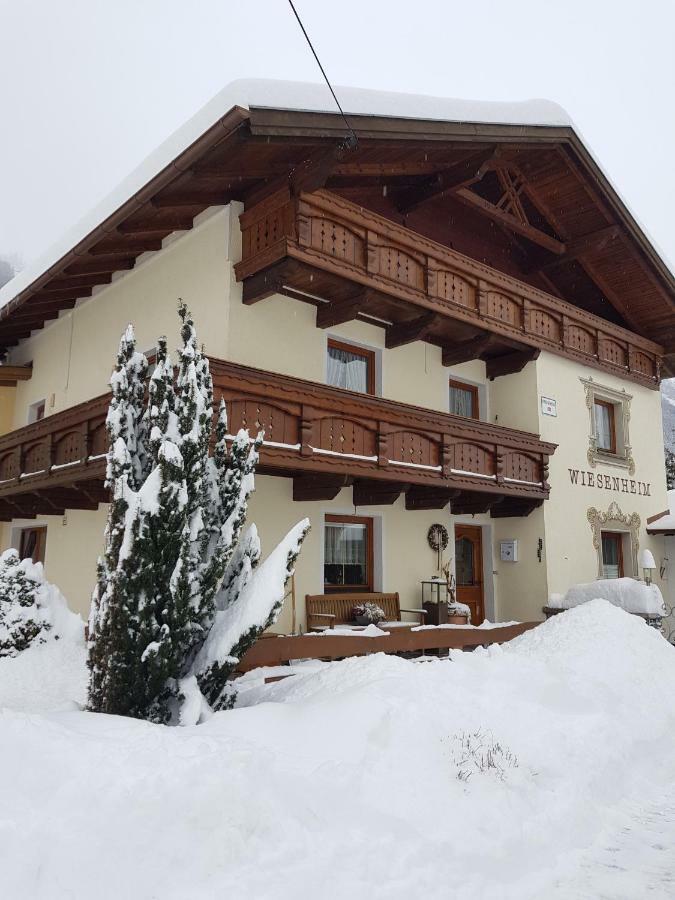 Haus Wiesenheim Fw Oetztal Langenfeld Exterior photo